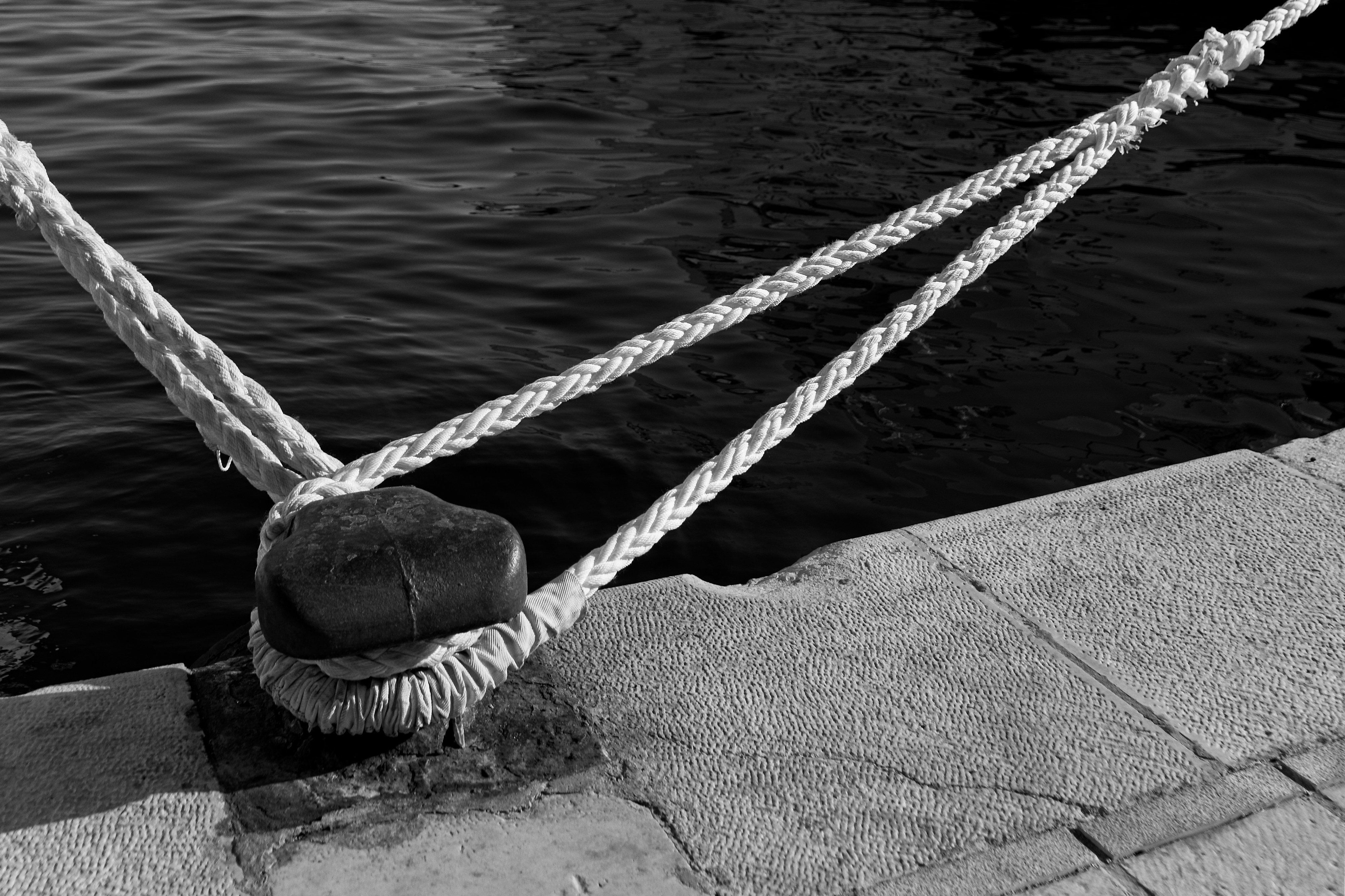 Execution Moves. Accountability Sticks.